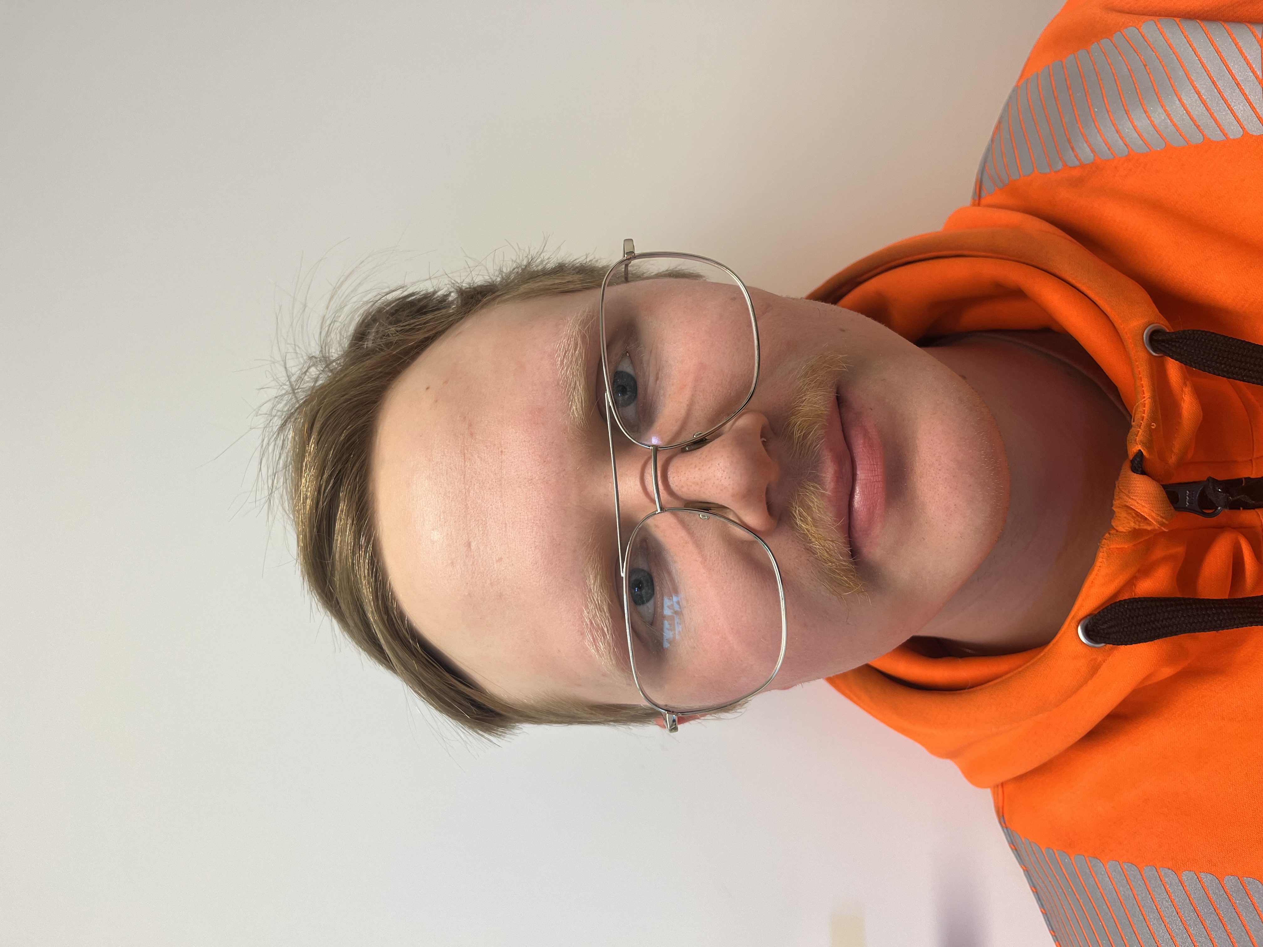 Eetu Kaariniemi, pihamyyjä