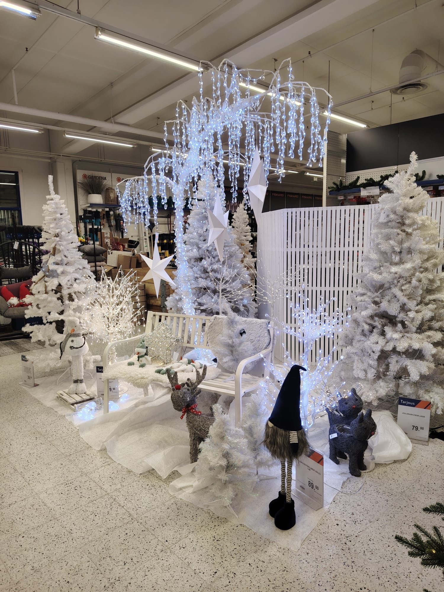 WhatsApp Image 2025-11-13 at 08.17.11 (1).jpeg