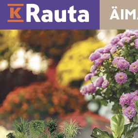 Kaleva 30.8.