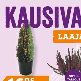 Kaleva mainos 24.10.